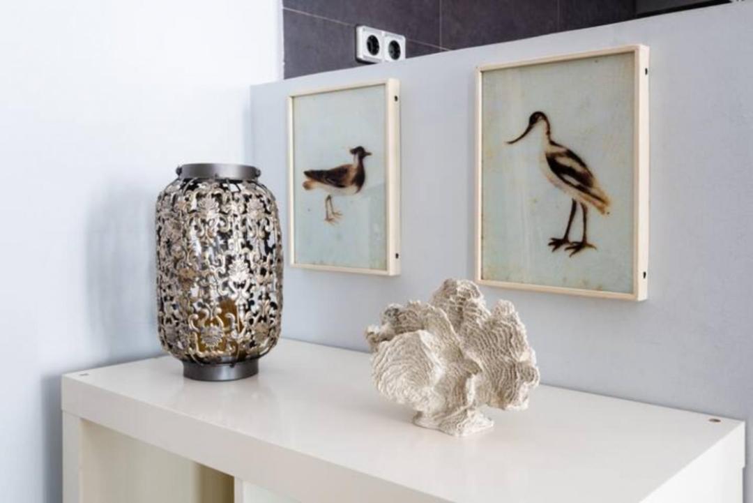 Modern And Bright- 1bd 1 Bth Furnished- Sol In Downtown Area Appartement *